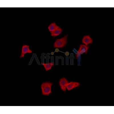 Валидация Affinity DF12243 - 6556