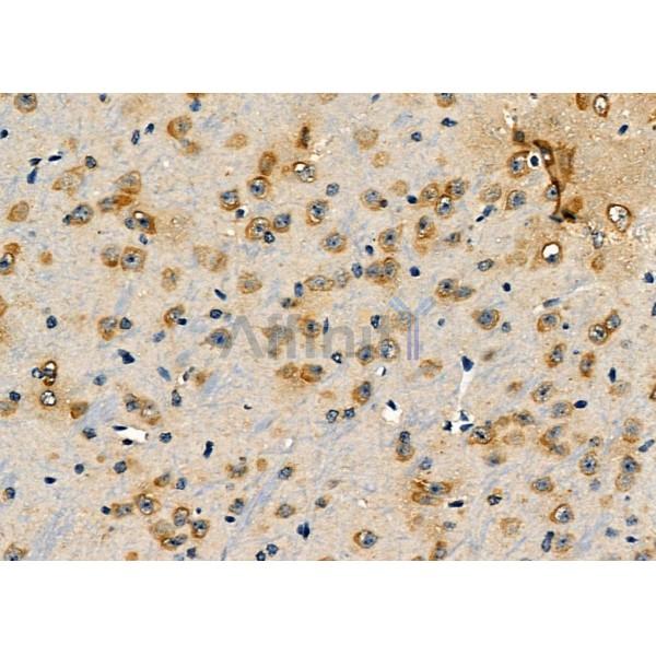 Валидация Affinity DF7300 - 18982