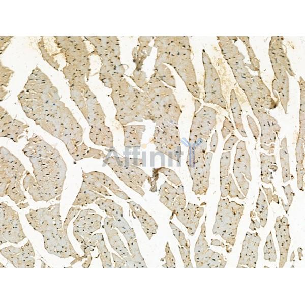 Валидация Affinity DF13259 - 8338