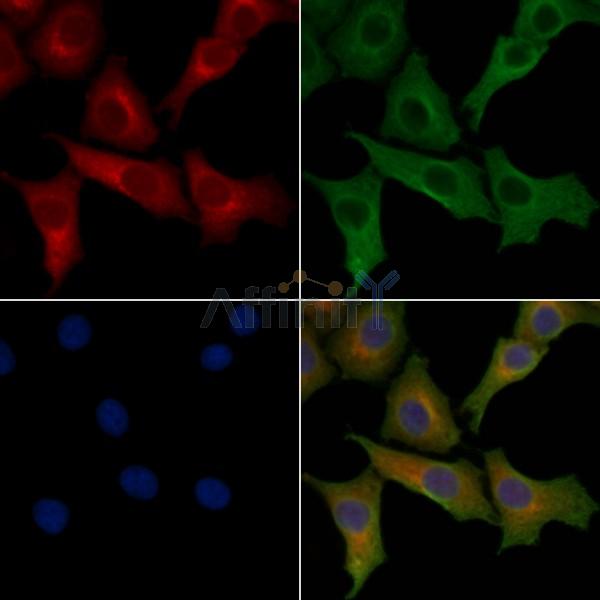 Валидация Affinity DF8571 - 20473