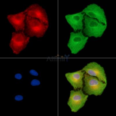 Валидация Affinity DF8964 - 21145