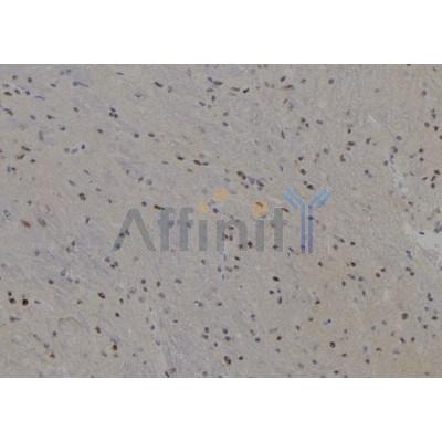 Валидация Affinity DF7557 - 19305