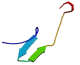 Killer Cell Lectin Like Receptor Subfamily C, Member 4 (KLRC4) Killer Cell Lectin Like Receptor Subfamily C, Member 4 (KLRC4)