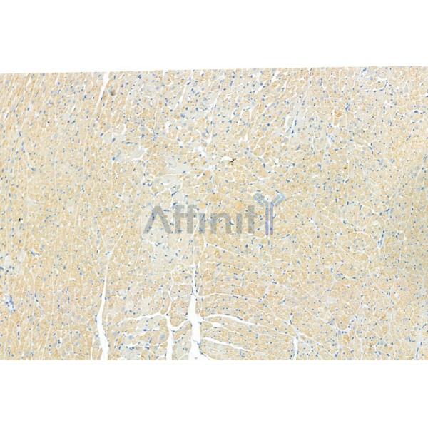 Валидация Affinity DF6148 - 17384