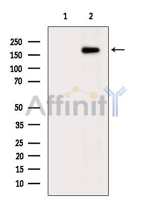 Валидация Affinity DF4389 - 15869