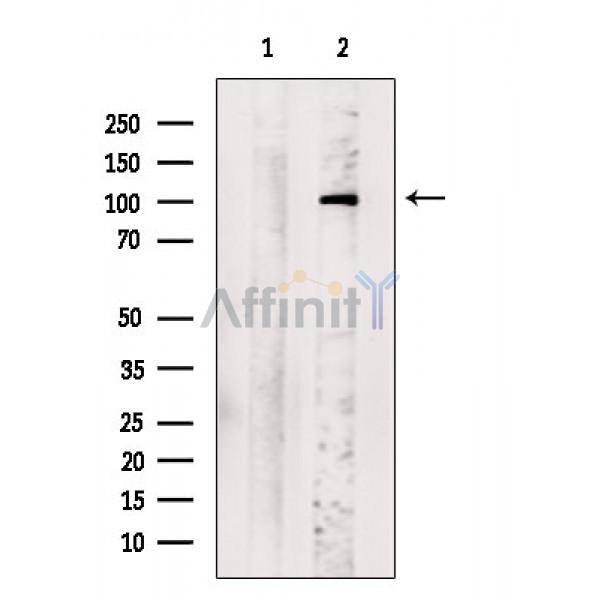 Валидация Affinity DF3766 - 14855