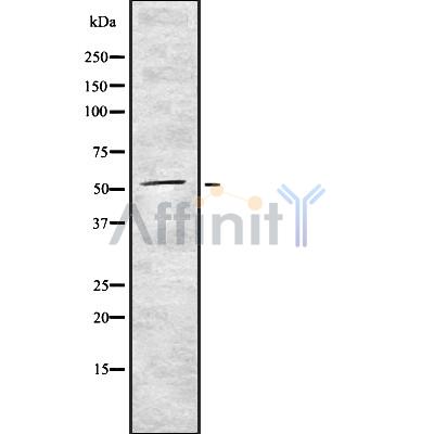Валидация Affinity DF8339 - 20190