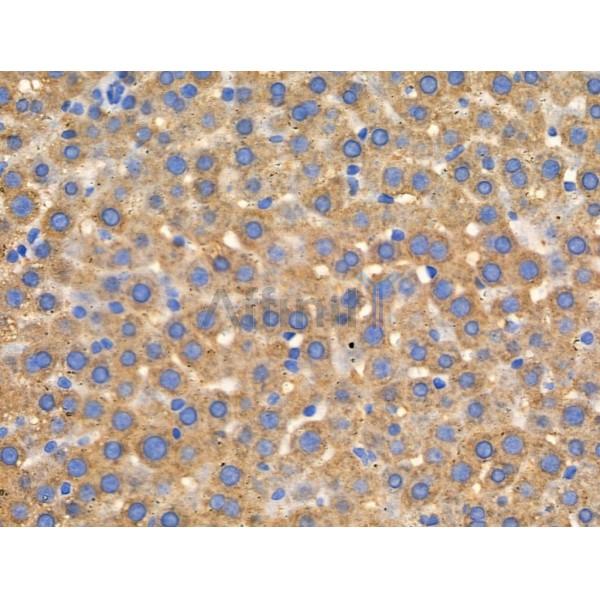 Валидация Affinity DF3179 - 13984