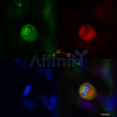 Валидация Affinity DF7911 - 19739