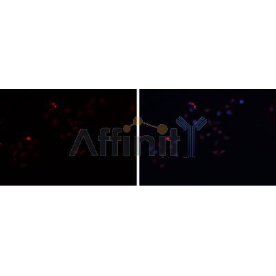 Валидация Affinity DF6467 - 17857