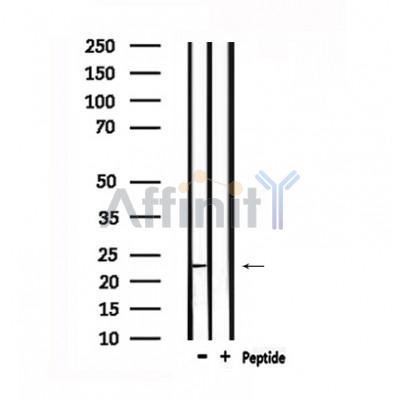 Валидация Affinity DF6169 - 17412
