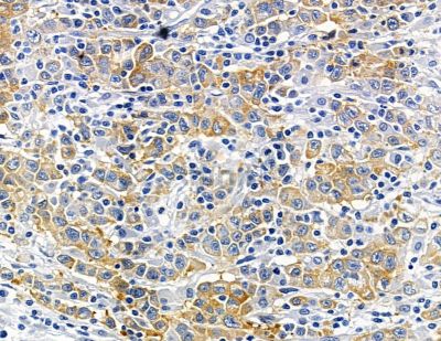 Валидация Affinity DF15797 - 12280