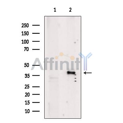 Валидация Affinity DF7957 - 19790