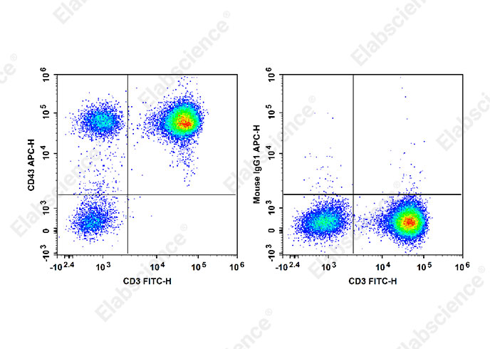 Валидация Elabscience E-AB-F1328E