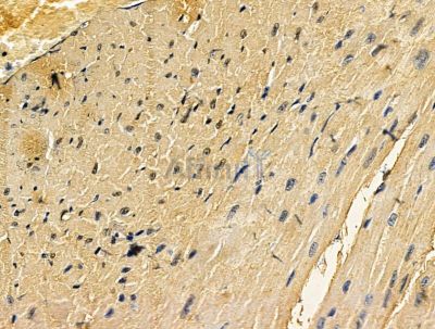 Валидация Affinity DF15599 - 12023