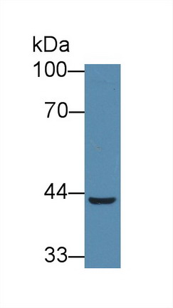 8965