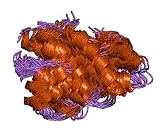 Complement Component 5a (C5a)