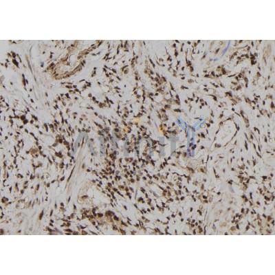 Валидация Affinity DF7708 - 19493