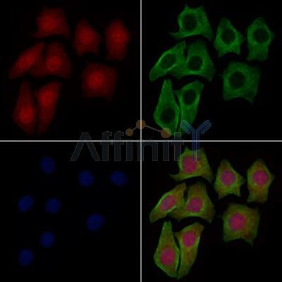 Валидация Affinity AF7732 - 4430