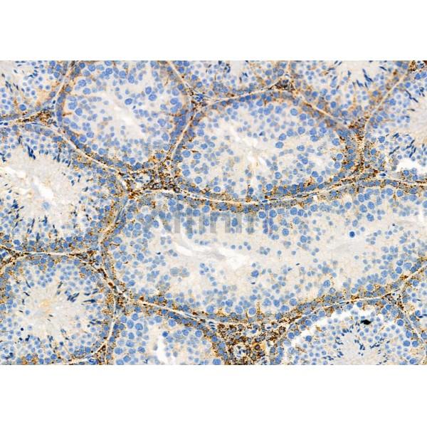 Валидация Affinity DF7390 - 19118