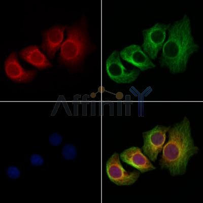 Валидация Affinity DF13259 - 8339