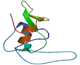 Translocator Protein (TSPO) Translocator Protein (TSPO)