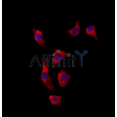 Валидация Affinity DF6214 - 17489