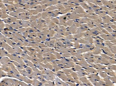 Валидация Affinity DF14289 - 10165