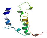 Olfactory Receptor 5F1 (OR5F1) Olfactory Receptor 5F1 (OR5F1)