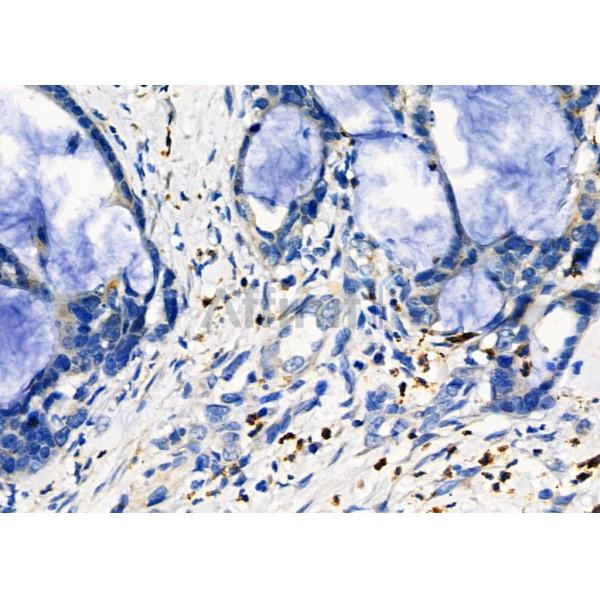 Валидация Affinity DF2904 - 13633