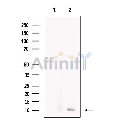 Валидация Affinity DF13362 - 8587