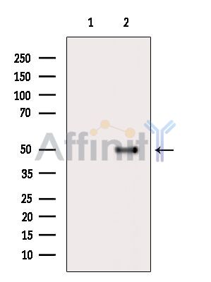 Валидация Affinity DF6908 - 18506