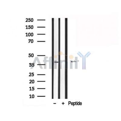 Валидация Affinity AF7820 - 4543