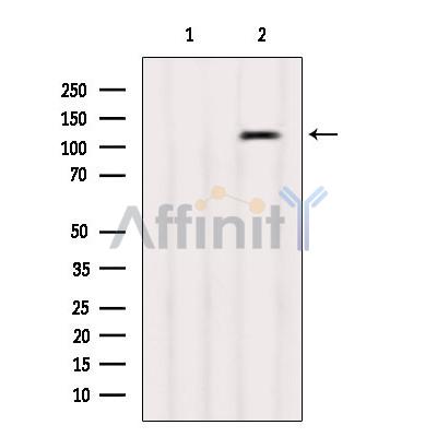 Валидация Affinity AF6444 - 3759