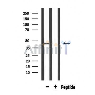 Валидация Affinity DF10213 - 5775