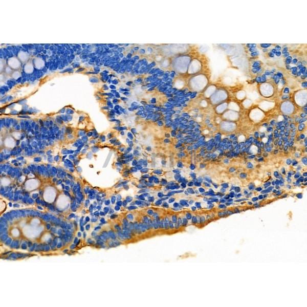 Валидация Affinity DF7106 - 18754