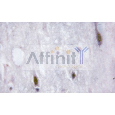 Валидация Affinity AF6460 - 3783