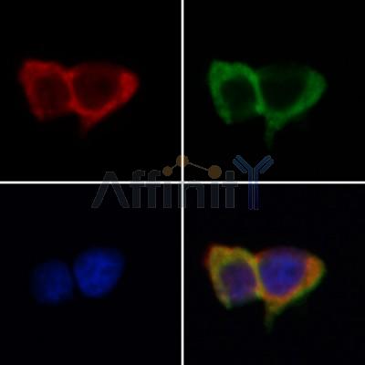 Валидация Affinity AF5145 - 2541