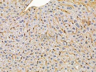 Валидация Affinity DF8611 - 20533