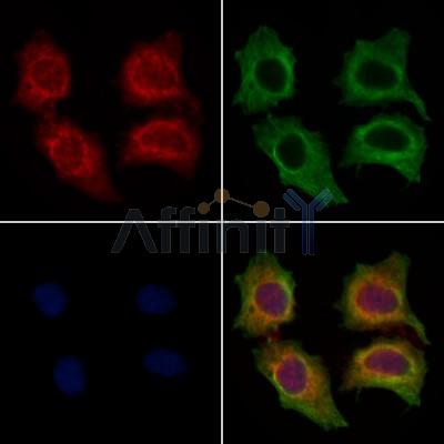 Валидация Affinity DF13263 - 8349