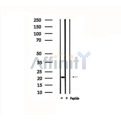 Валидация Affinity DF4717 - 16409