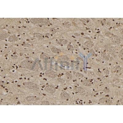 Валидация Affinity DF12149 - 6338