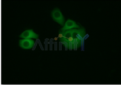 Валидация Affinity T0023-488 - 23069