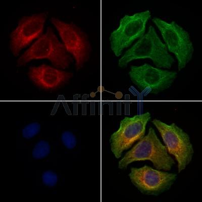 Валидация Affinity DF7597 - 19368