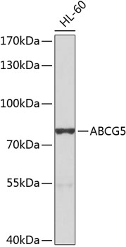 Валидация Elabscience E-AB-68000