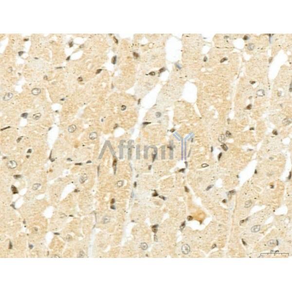 Валидация Affinity DF13135 - 8069