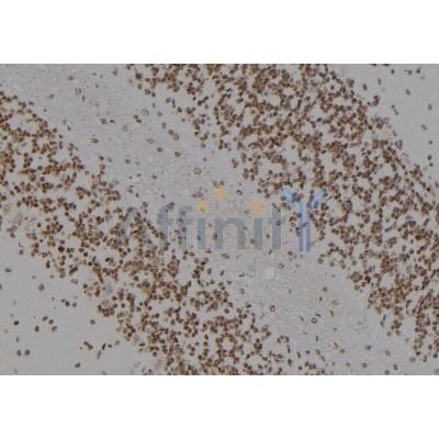 Валидация Affinity AF5289 - 2825