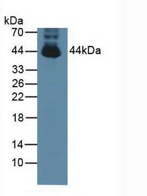5214