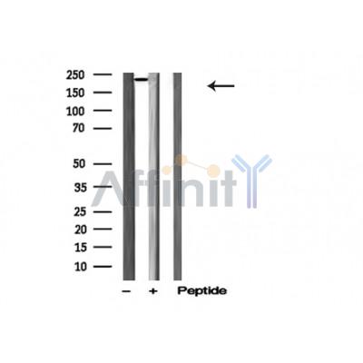 Валидация Affinity AF4801 - 2420
