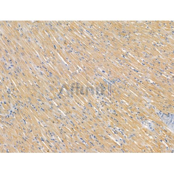 Валидация Affinity DF13334 - 8519